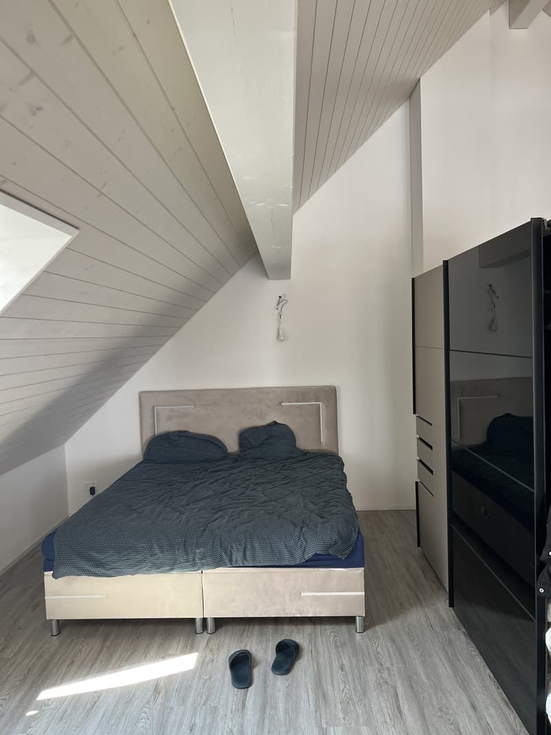Neubau Loft Mieten in Zürich/Dällikon (3)