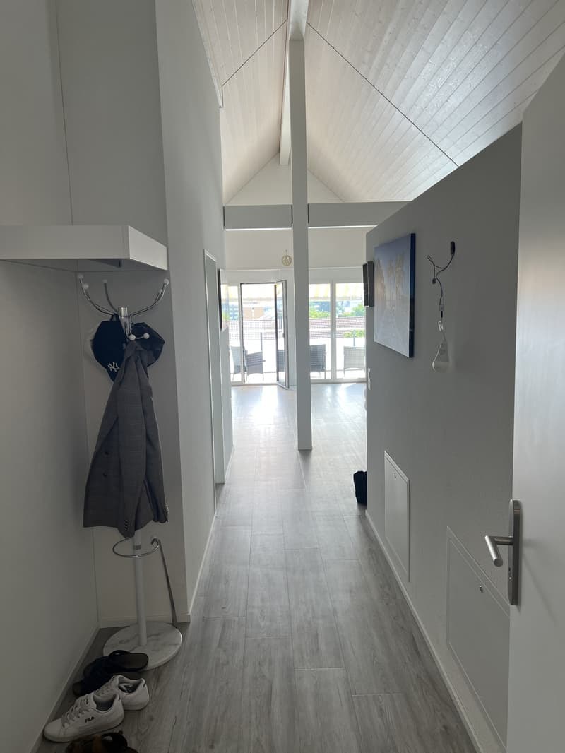 Neubau Loft Mieten in Zürich/Dällikon (2)