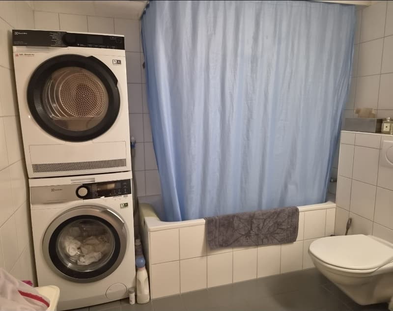 Vieille ville - charmant appartement 3 pièces au cœur de Schaffhausen (6)