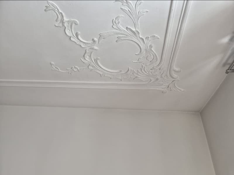 Vieille ville - charmant appartement 3 pièces au cœur de Schaffhausen (5)