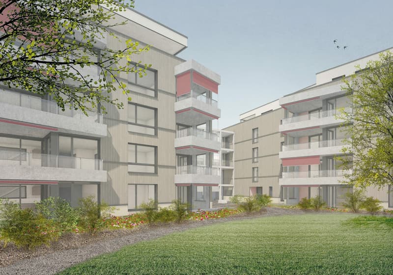 4 ½ pièces appartement, 8910 Affoltern am Albis (1)