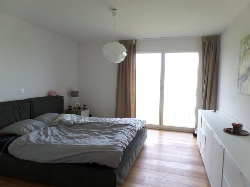 Schöne, moderne Parterrewohnung mit Sitzplatz und Umschwung (3)