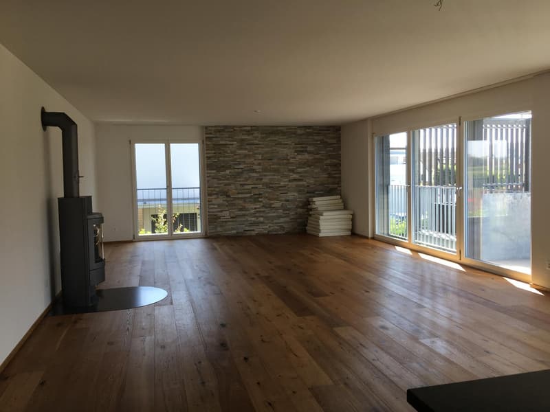 Schöne, moderne Parterrewohnung mit Sitzplatz und Umschwung (1)