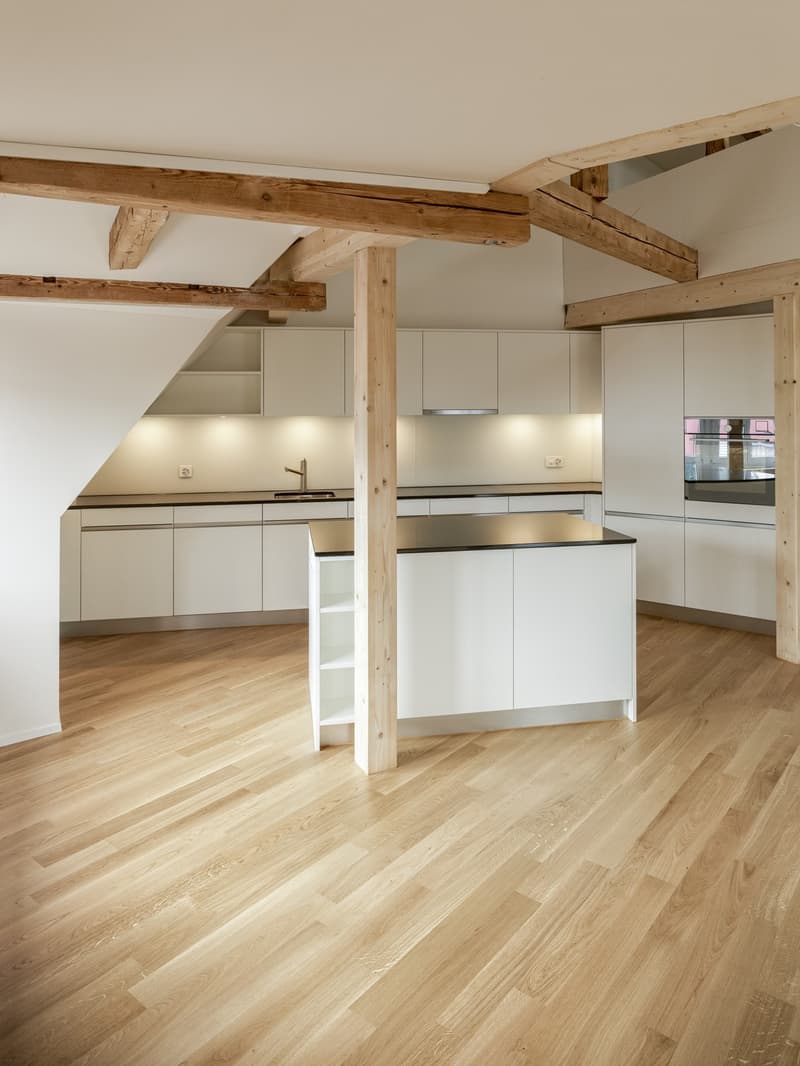 Appartamento a maisonnette 4.5 locali con terrazza sul tetto (6)