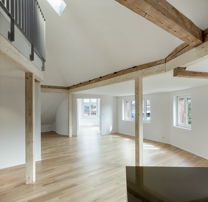 Appartamento a maisonnette 4.5 locali con terrazza sul tetto (7)