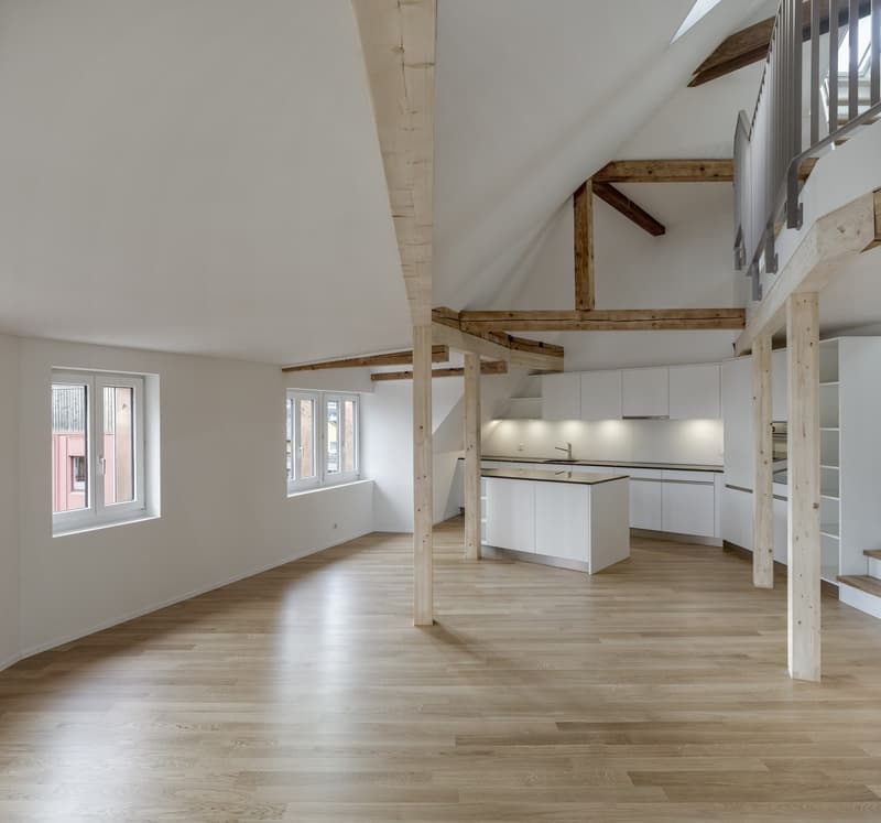 Appartamento a maisonnette 4.5 locali con terrazza sul tetto (3)