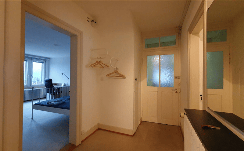 Appartement cozy à Zurich Wiesendangen (6)