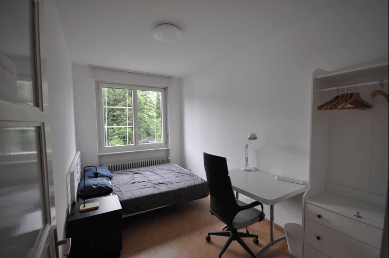 Appartement cozy à Zurich Wiesendangen (5)