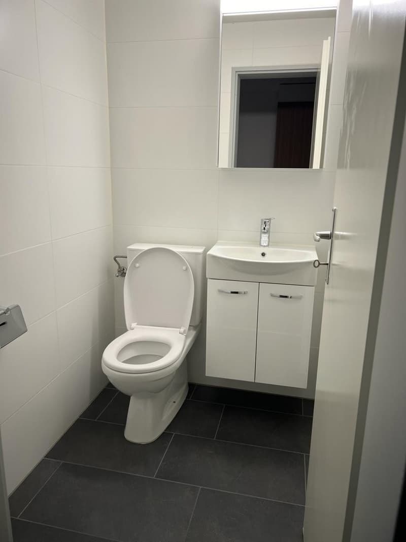 Musterfoto - WC