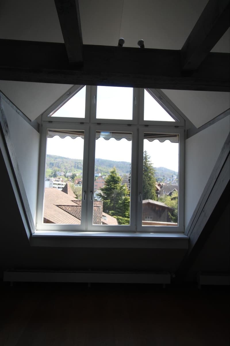 Loft (9)