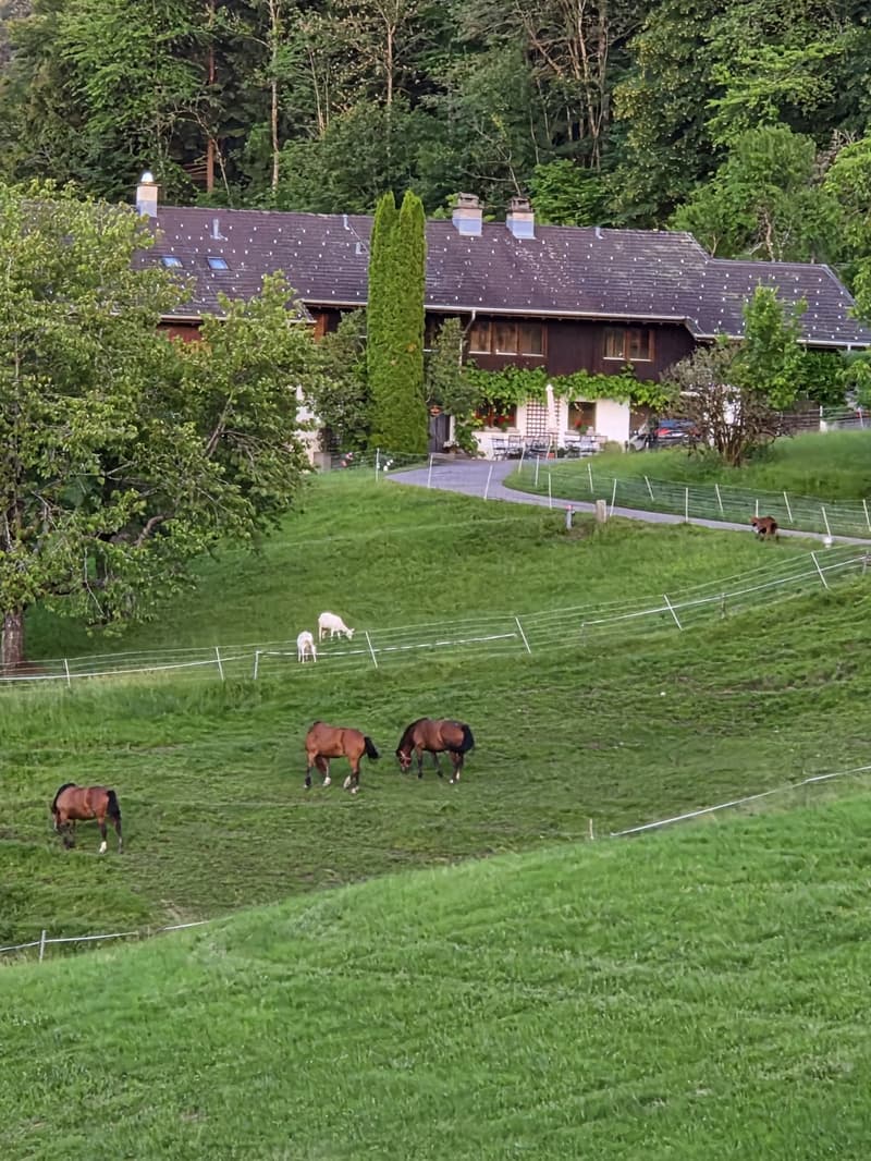 6-room house, in a wonderful environment with a far-reaching view (13)