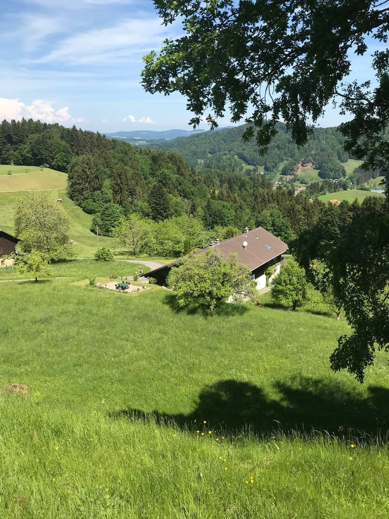 6-room house, in a wonderful environment with a far-reaching view (12)