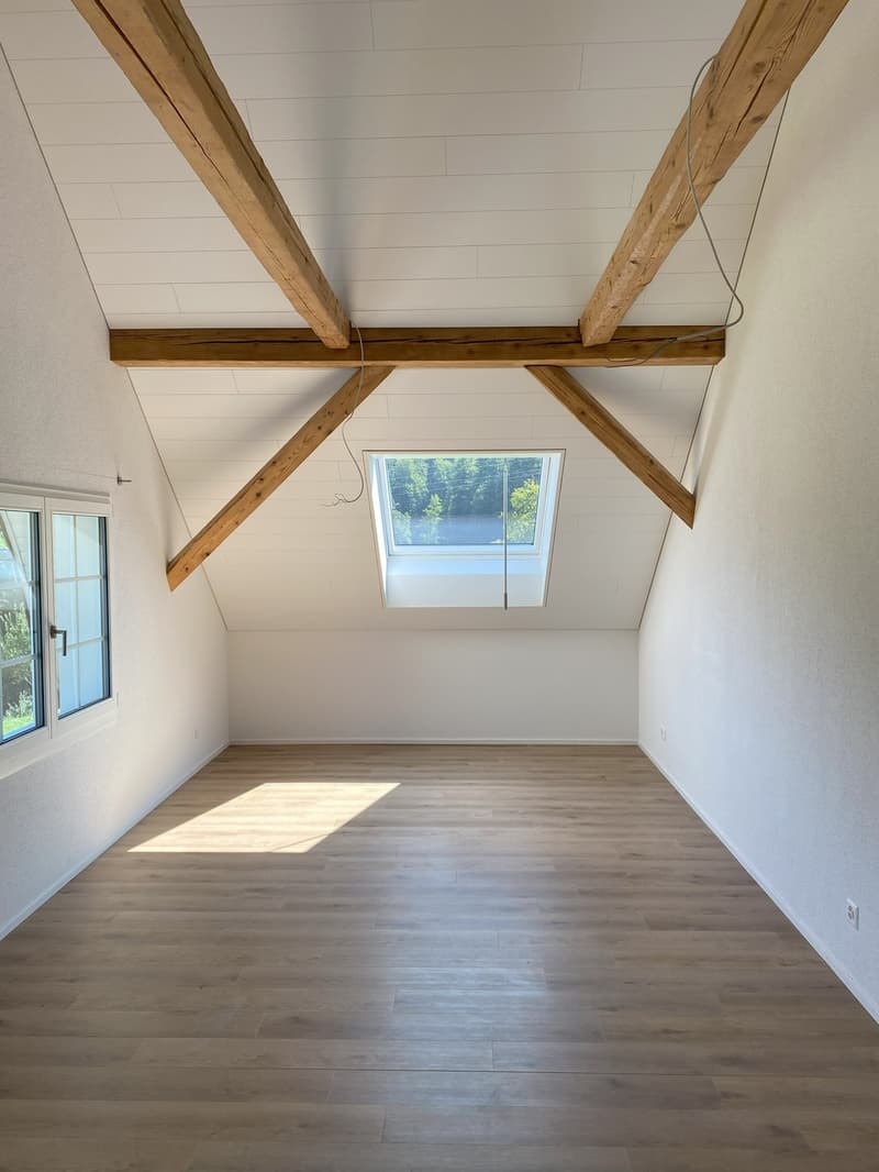 3.5 Zimmer-Wohnung auf dem Land (1)