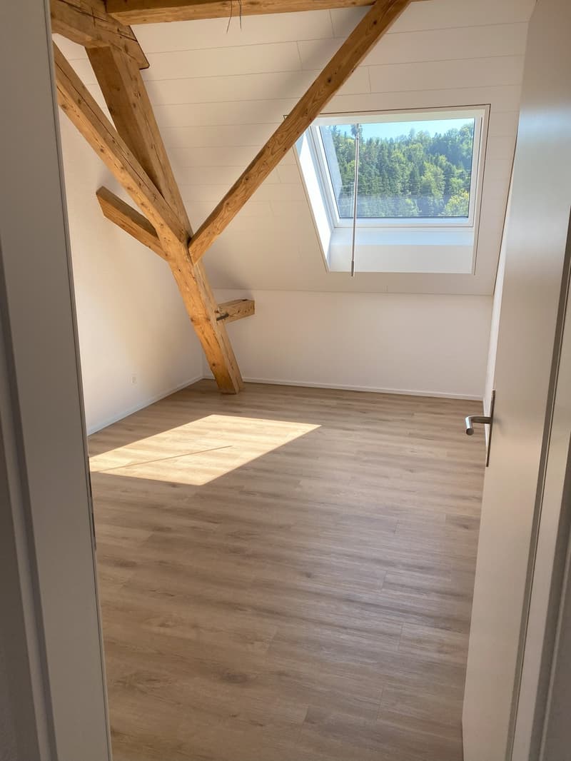 3.5 Zimmer-Wohnung auf dem Land (5)