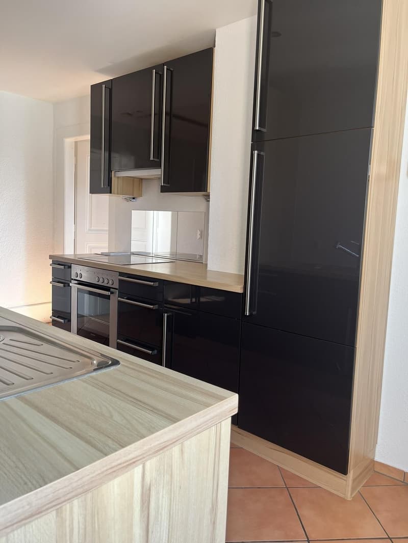 Moderne Hochwert-Küche mit viel Stauraum und Glaskeramik