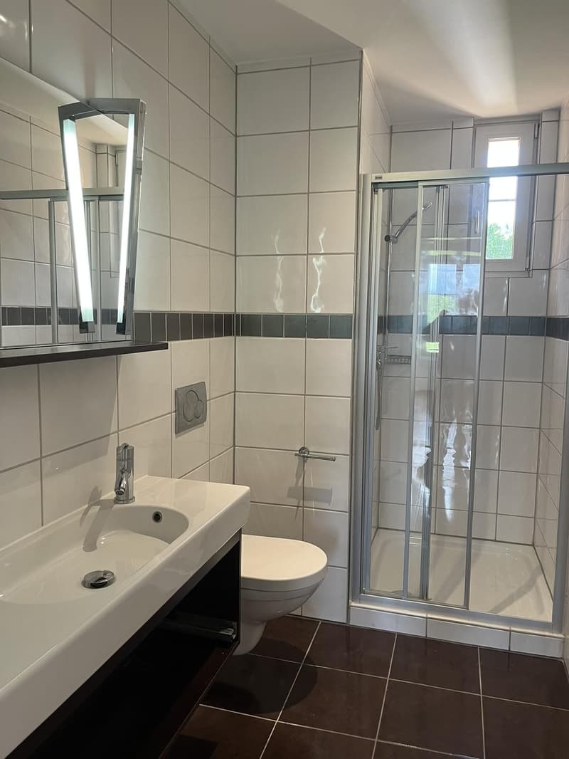 Modernes Tageslichtbad mit erfrischender Dusche und viel Stauraum.
