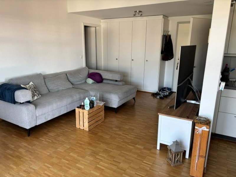 Charmante 2.5-Zimmerwohnung im Dorfzentrum von Römerswil (1)