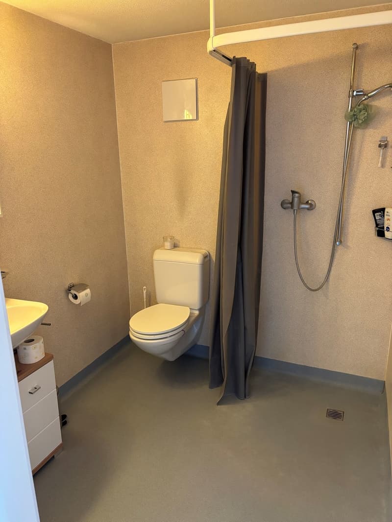 Charmante 2.5-Zimmerwohnung im Dorfzentrum von Römerswil (5)
