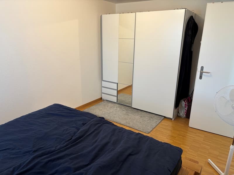 Charmante 2.5-Zimmerwohnung im Dorfzentrum von Römerswil (4)