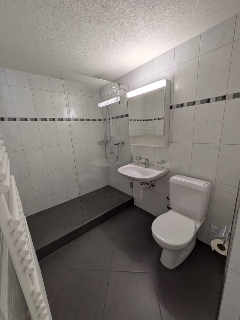 3.5 Zimmer Wohnung (9)