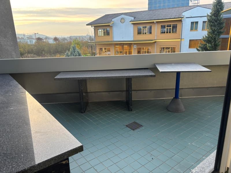 Raum für Ihre Ideen  vielseitiger Gewerberaum mit Terrasse in Schenkon (7)