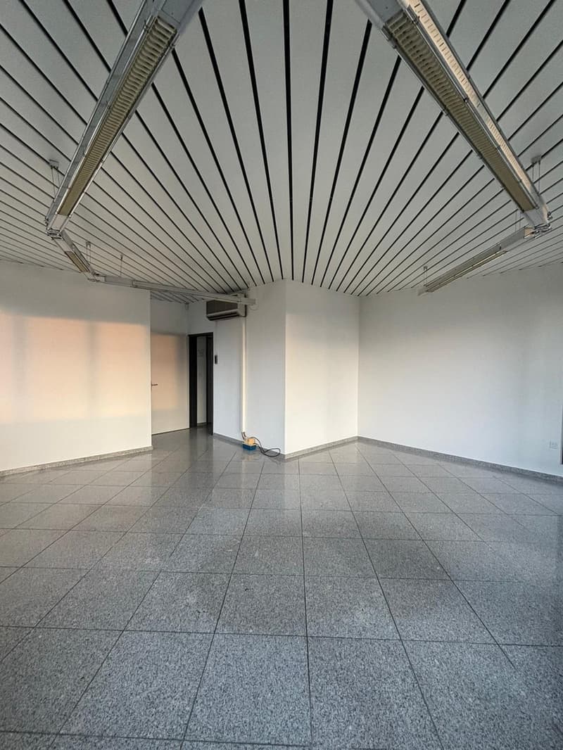 Raum für Ihre Ideen  vielseitiger Gewerberaum mit Terrasse in Schenkon (6)