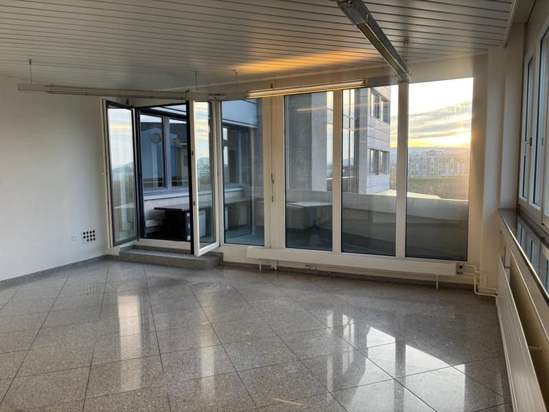 Raum für Ihre Ideen  vielseitiger Gewerberaum mit Terrasse in Schenkon (5)
