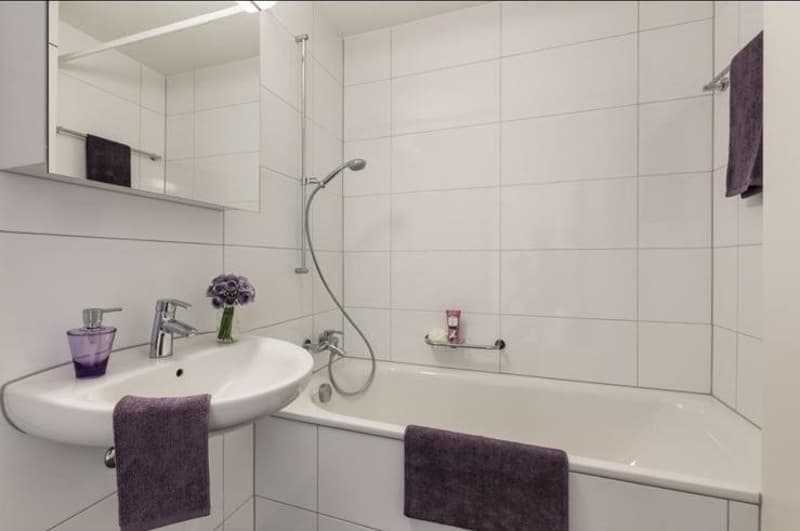 3 ½ Zimmer-Wohnung, 5430 Wettingen (4)