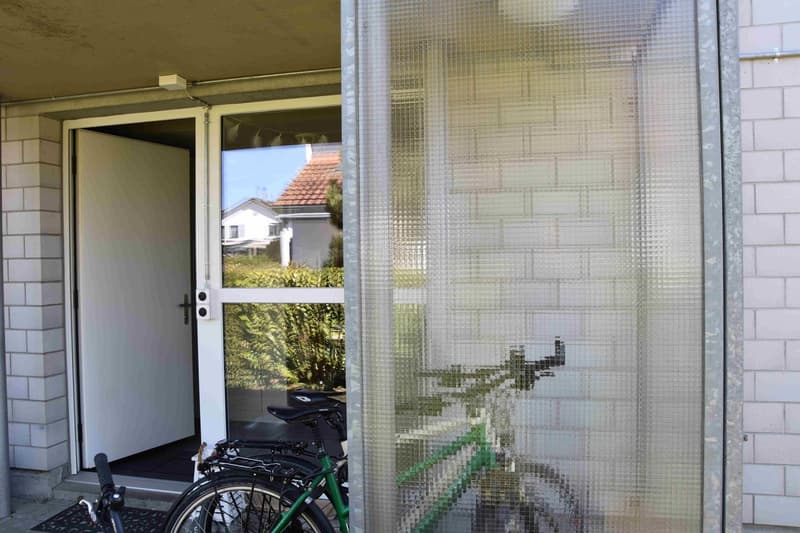 Einzigartiges 6-Zimmer-Einfamilienhaus in Rupperswil Purismus, Privatsphäre u. Nachhaltigkeit (7)