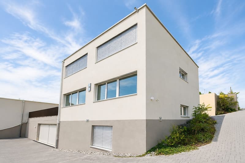 Seltene Mietgelegenheit: modernes 5.5-Zimmer-Einfamilienhaus mit Garten und Weitsicht in St. Erhard (3)