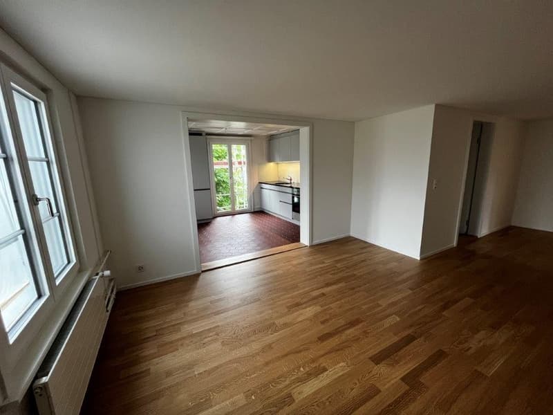 Traumwohnung in renoviertem historischen Haus (6)