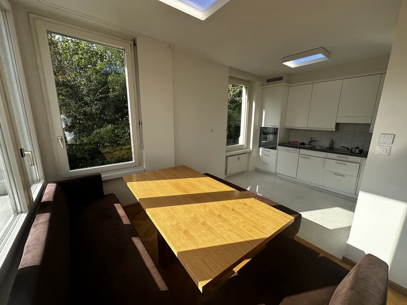 Furnished 16 m² Room in Spacious 2-Person Flatshare Zürich Hottingen (3)