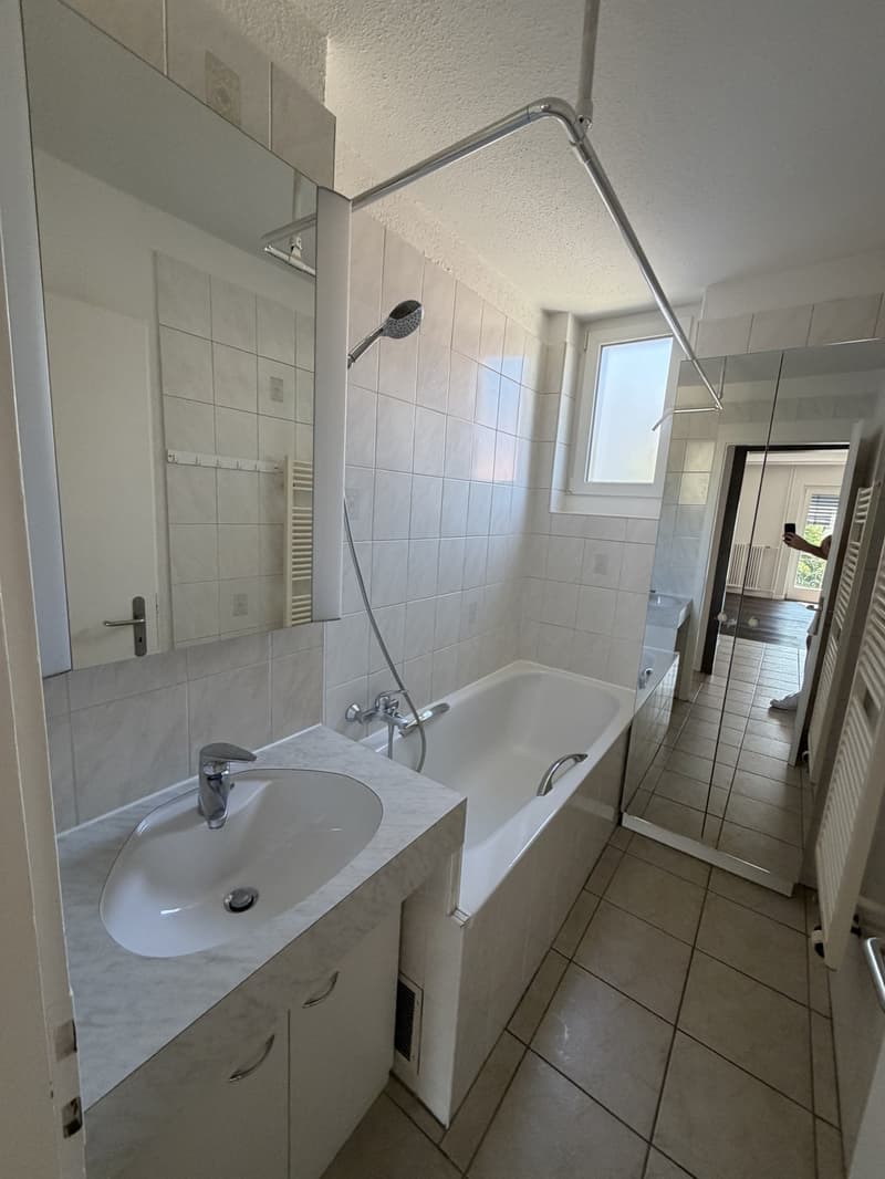 Charmante Wohnung an zentraler Lage mit Cheminée! (7)