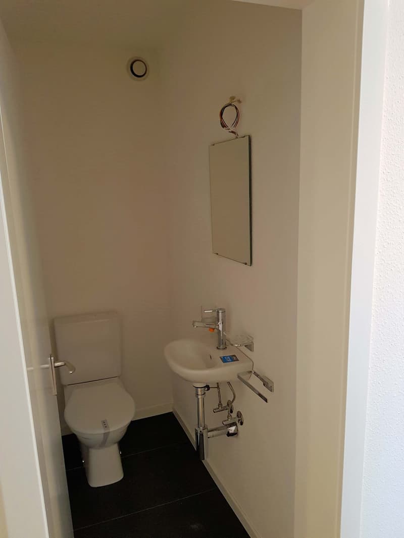 Helle renovierte 4,5 ZiWhg, nahe Zentrum und Kantonspital (5)