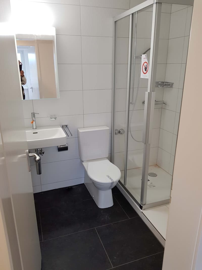 Helle renovierte 4,5 ZiWhg, nahe Zentrum und Kantonspital (4)