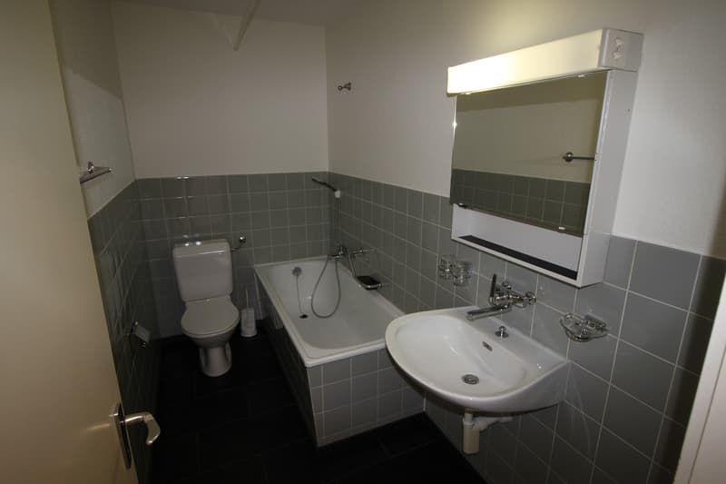 Helle renovierte 4,5 ZiWhg, nahe Zentrum und Kantonspital (4)