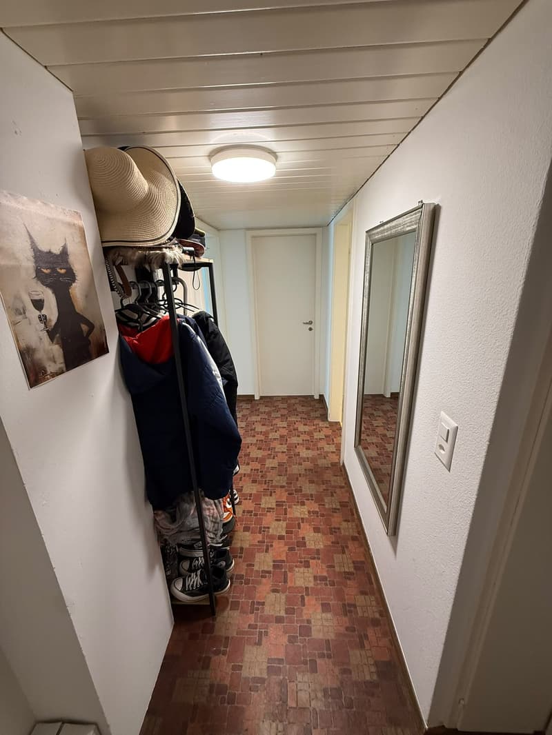3 ½ Zimmer-Wohnung, 8404 Winterthur, ZH (8)