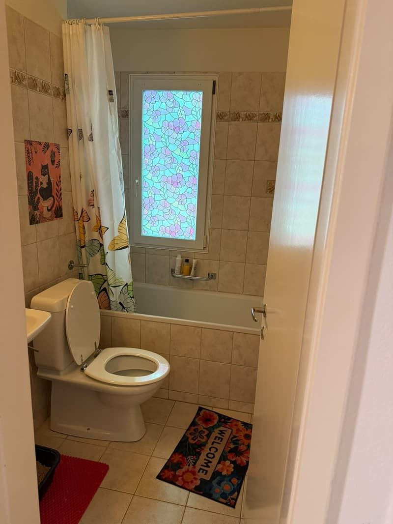 3 ½ Zimmer-Wohnung, 8404 Winterthur, ZH (2)