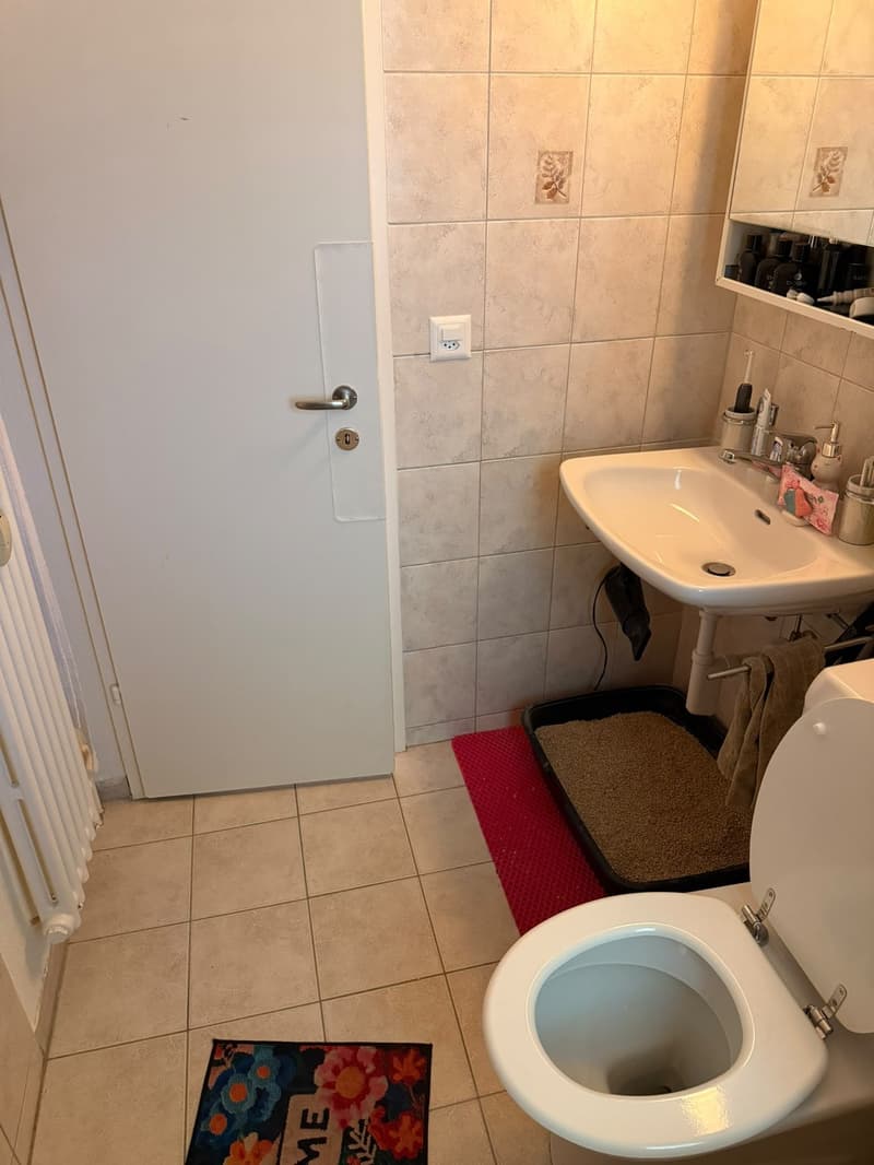 3 ½ Zimmer-Wohnung, 8404 Winterthur, ZH (5)