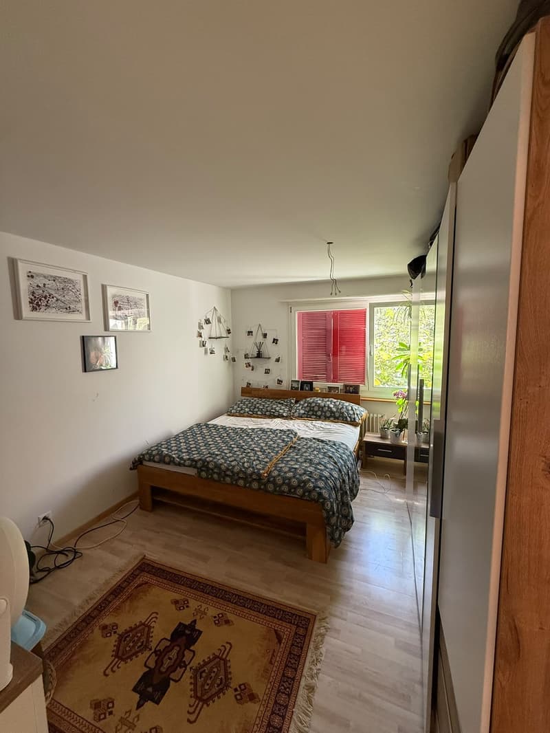 3 ½ Zimmer-Wohnung, 8404 Winterthur, ZH (6)