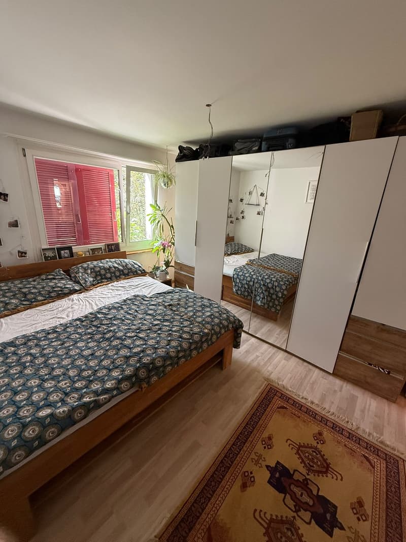 3 ½ Zimmer-Wohnung, 8404 Winterthur, ZH (9)