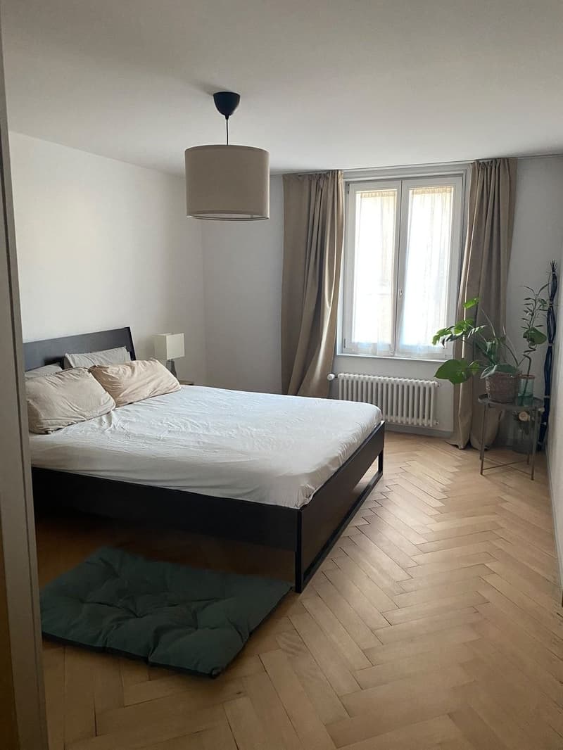 Charmante 3.5 Zimmer - Altstadtwohnung  zentral & cozy (7)