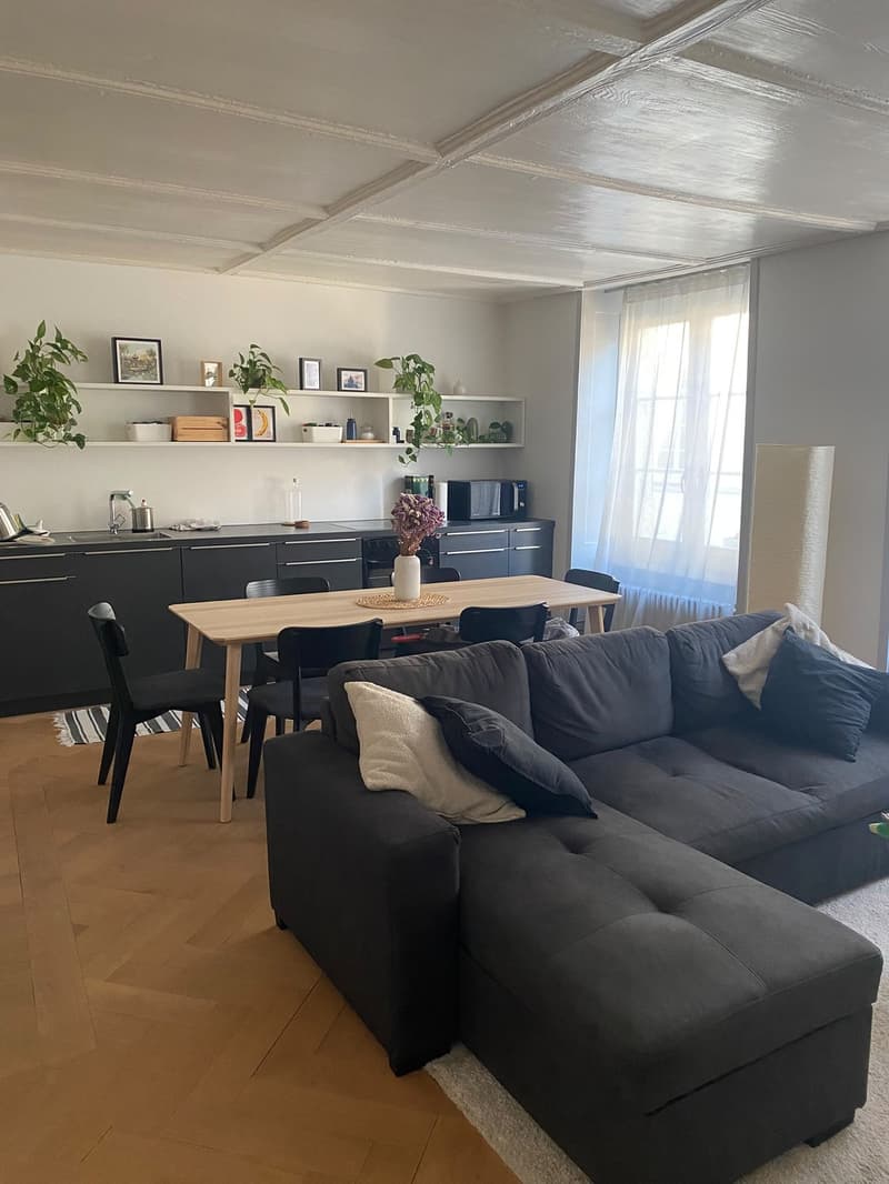 Charmante 3.5 Zimmer - Altstadtwohnung  zentral & cozy (3)