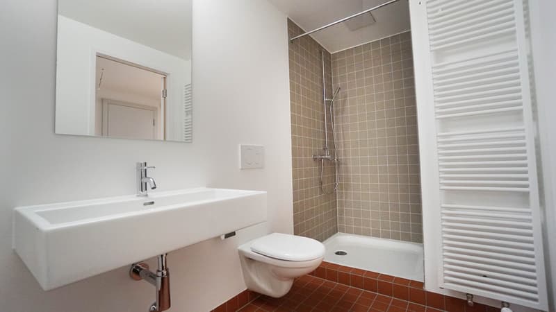 Charmante 3.5 Zimmer - Altstadtwohnung  zentral & cozy (11)