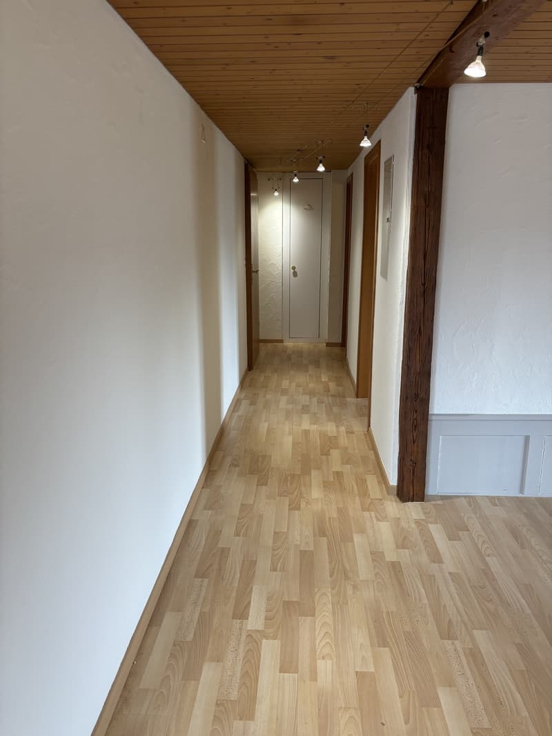 Gemütliche 2 1/2 Zimmerwohnung (8)