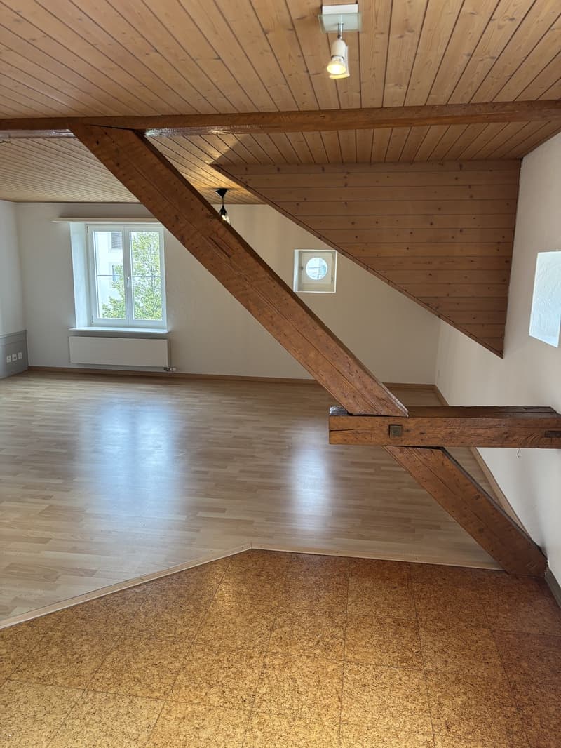 Gemütliche 2 1/2 Zimmerwohnung (3)