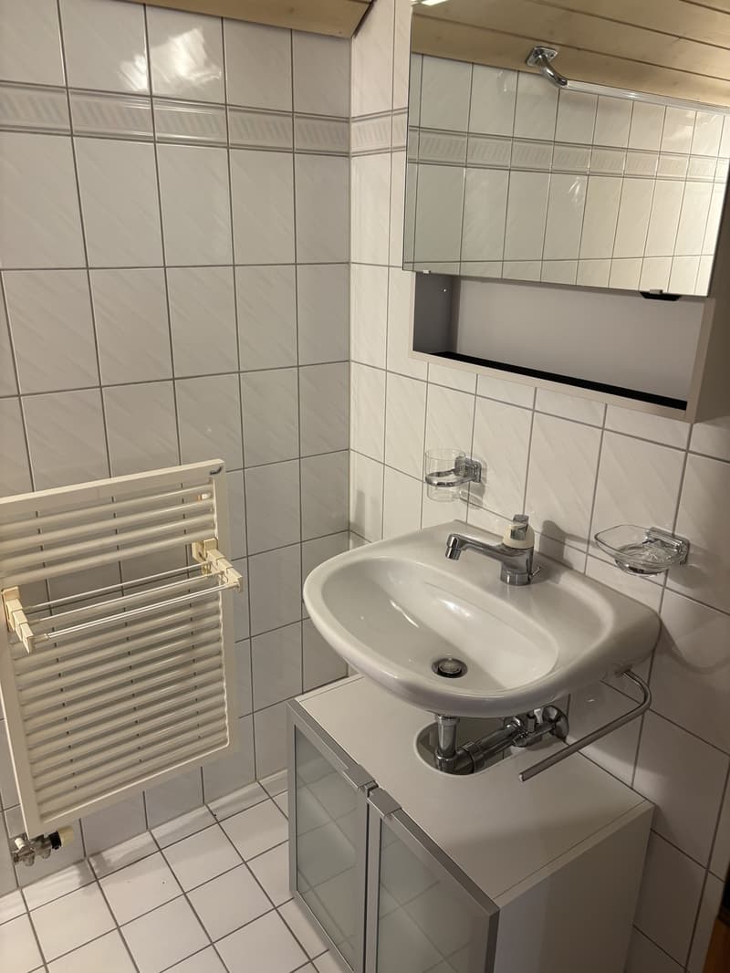 Gemütliche 2 1/2 Zimmerwohnung (11)