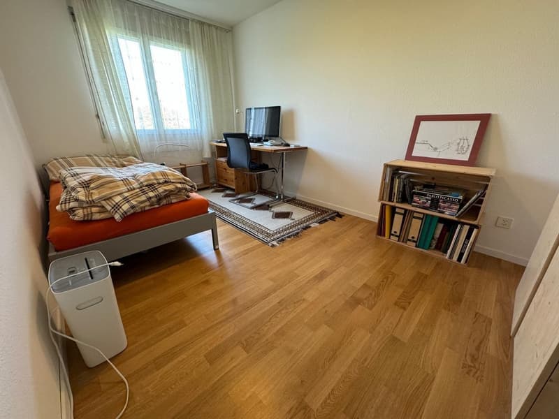 4 ½ Zimmer-Wohnung in Wetzikon ZH mieten (10)
