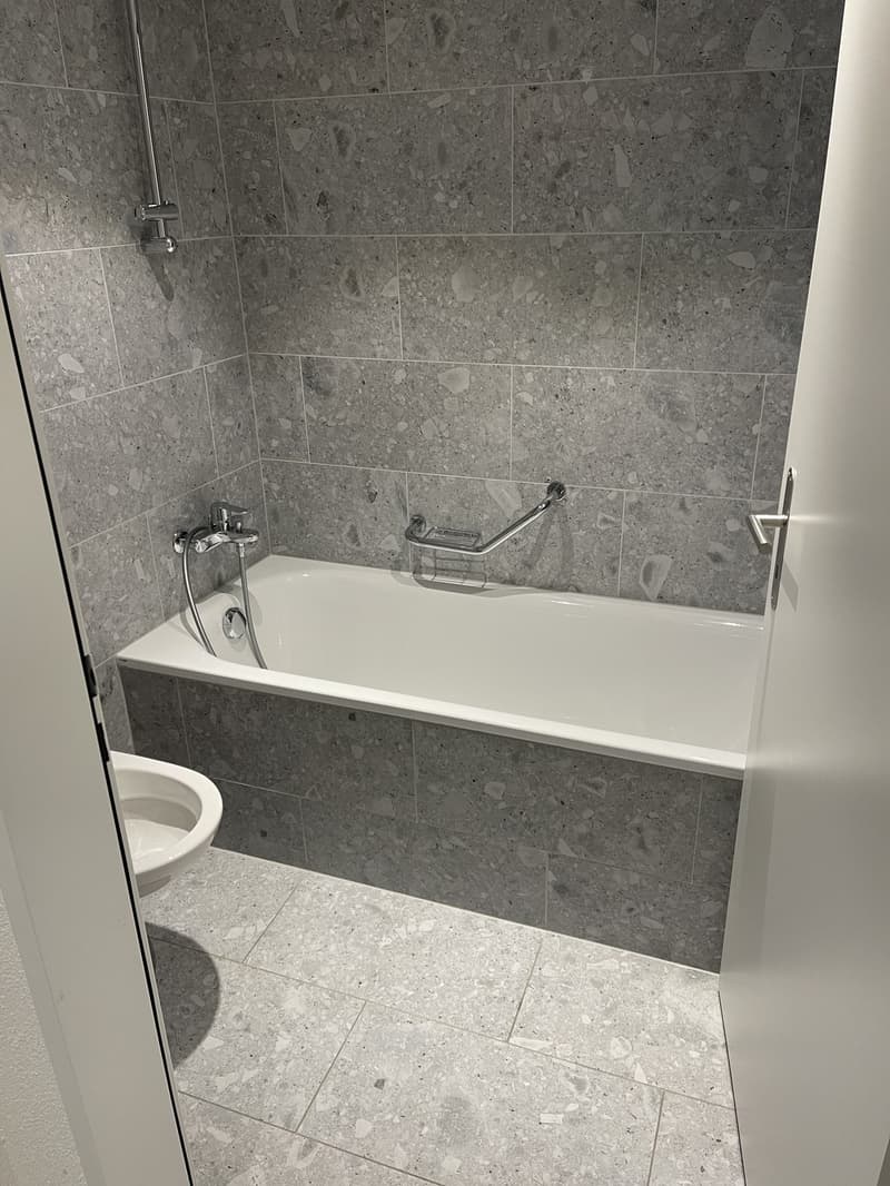 2 ½ Zimmer-Wohnung, 8200 Schaffhausen (2)
