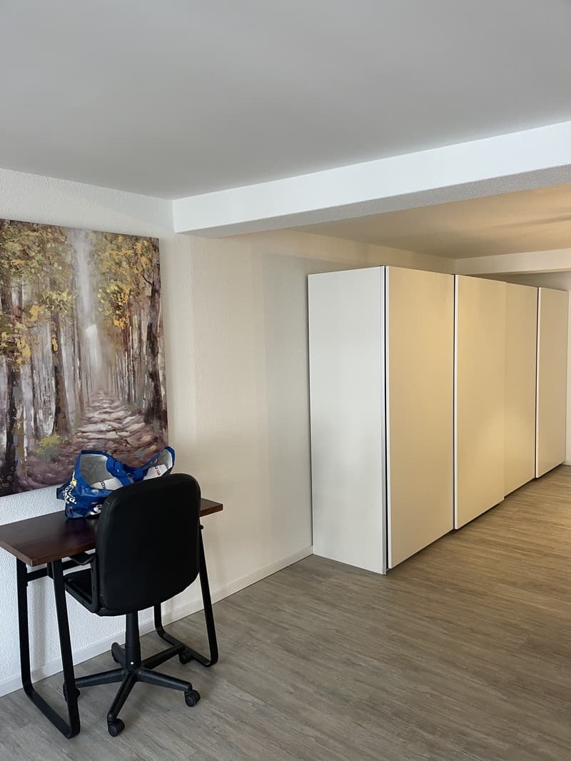 2 ½ Zimmer-Wohnung, 8200 Schaffhausen (5)